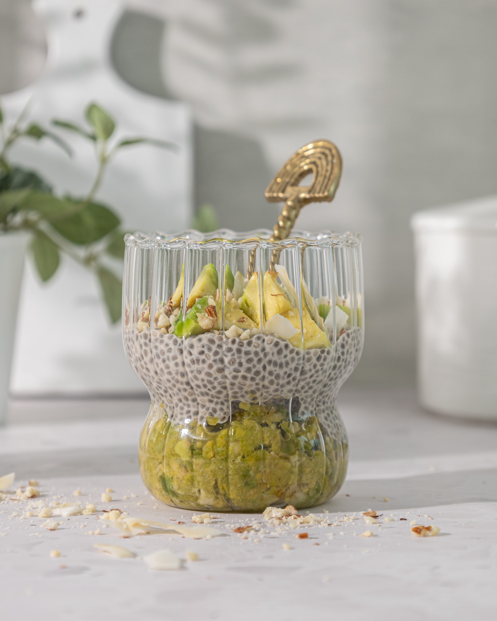 Chia Pudding Alpukat | Diet Friendly  