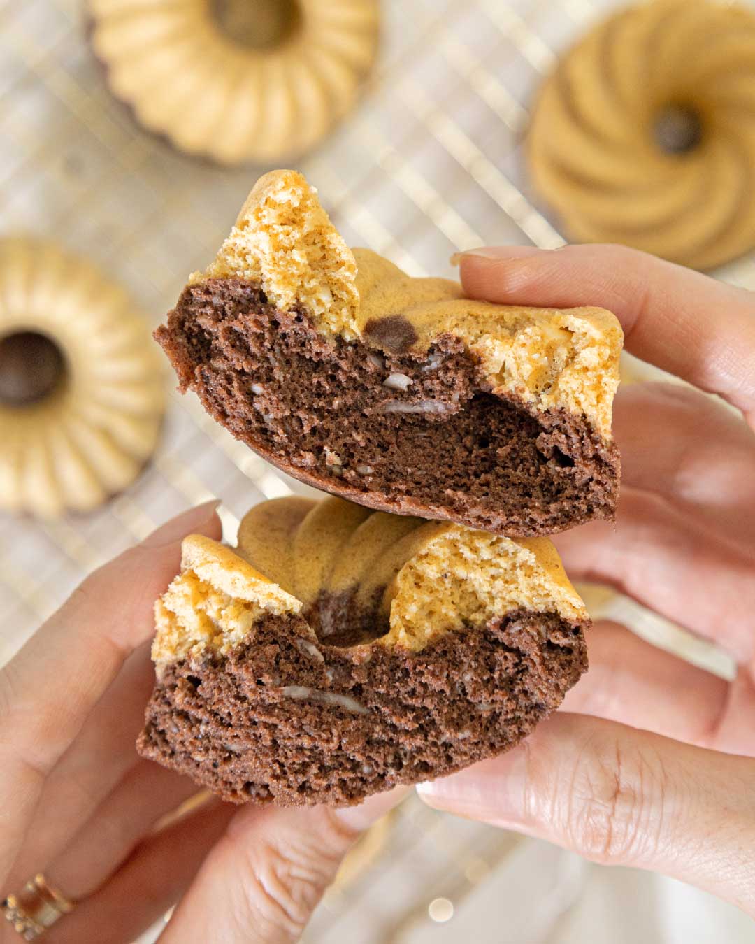 Bolu Pisang Cokelat Keju 