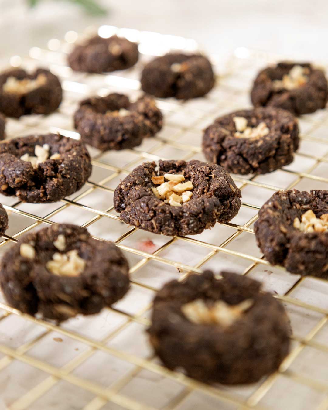 Dark Choco Coconut Cookies