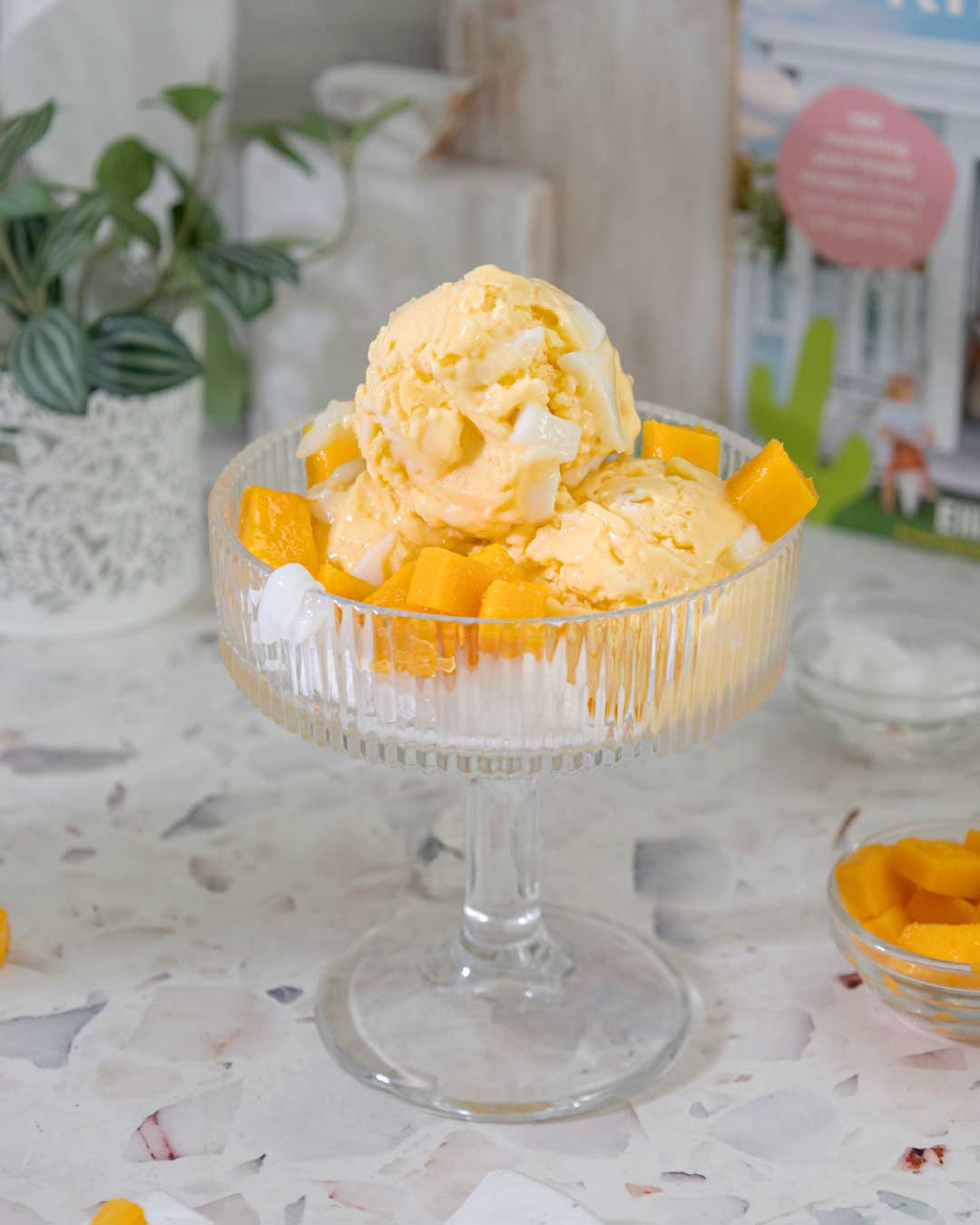 Coconut Mango - Protein Ice Cream 