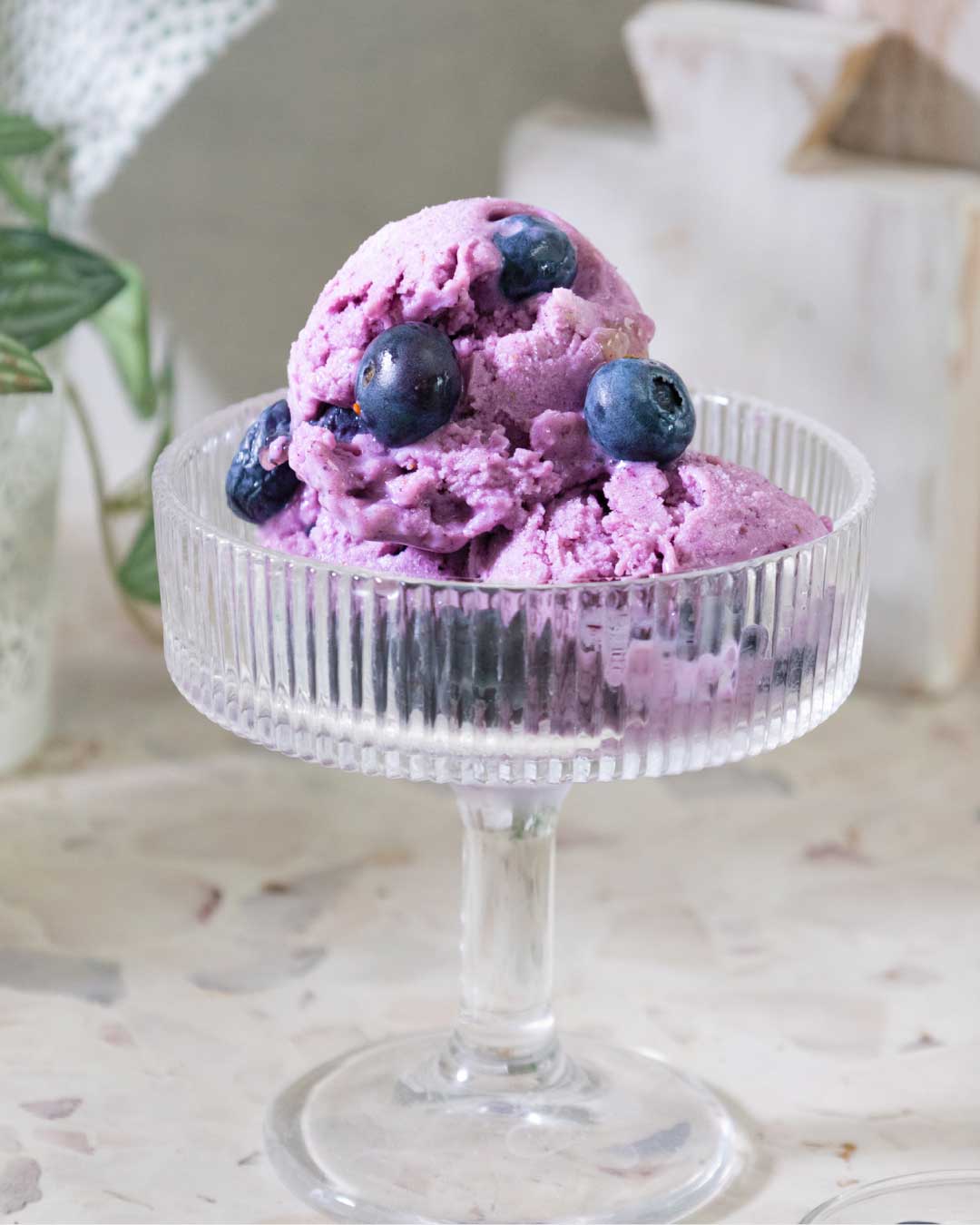 High Protein - Low Sugar - Blueberry & Lychee Froyo 
