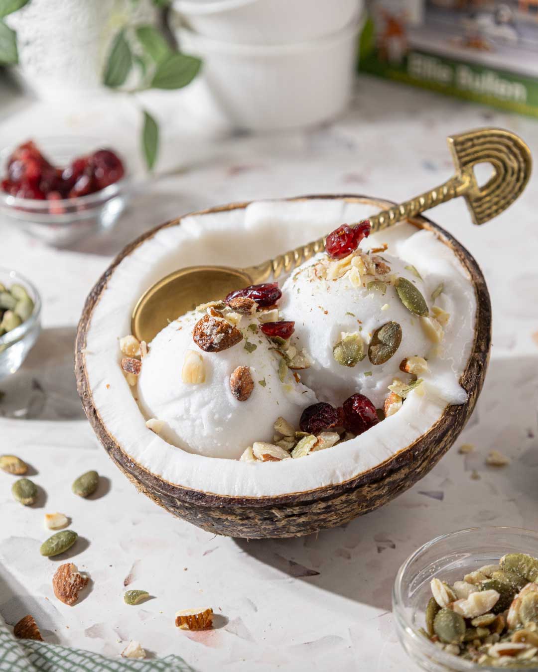 Coconut Ice Cream - No Santan