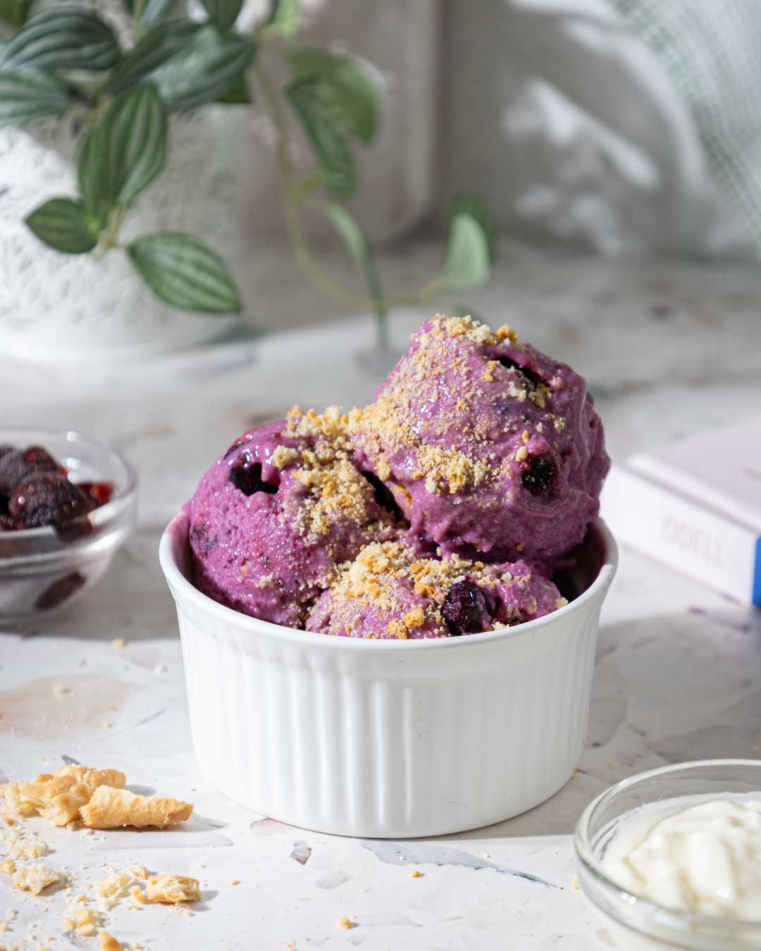 High Protein Blueberry Cheesecake Ice Cream 