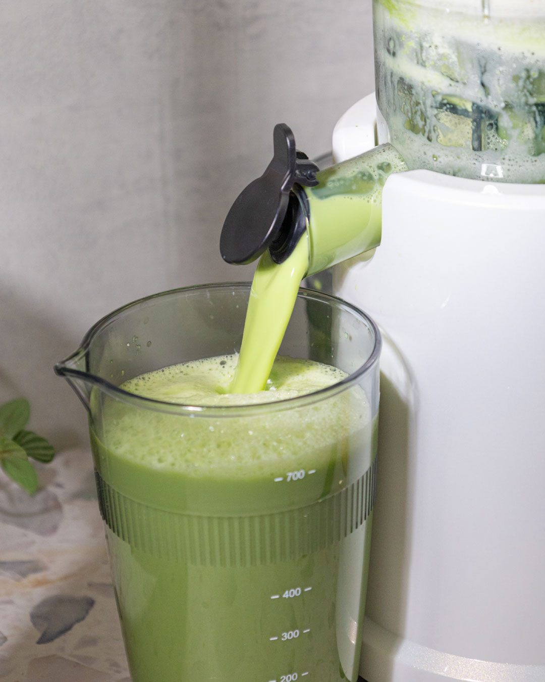 Soy Milk Pandan 
